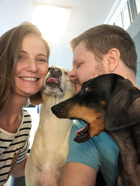 istock Couple taking a selfie with their dogs 1283953180