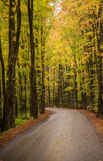 istock Michigans Upper Peninsula Near Houghton, MI in the Keweenaw Peninsula 1283956914