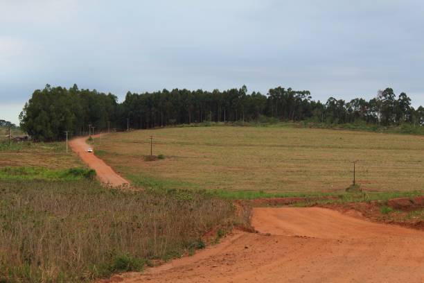 istock Rural road and field in cloudy day 1283957644