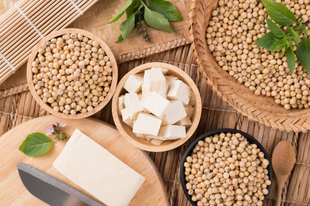 istock Fresh cube tofu and soybean seeds 1283958578