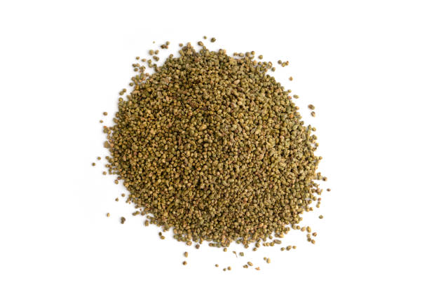 istock A pile of dried rubbed thyme isolated on white background 1283961054