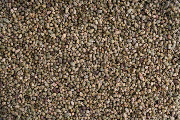 istock A pile of dried rubbed thyme isolated on white background 1283961059