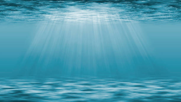 Underwater landscape illustration background