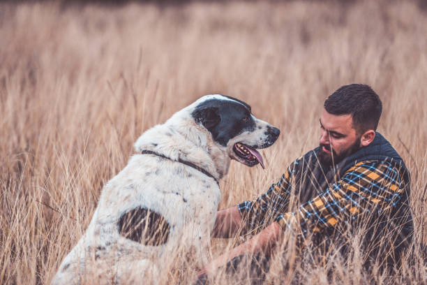The best friends A young man walks with a big central asian shepherd dog on a meadow kangal dog stock pictures, royalty-free photos & images