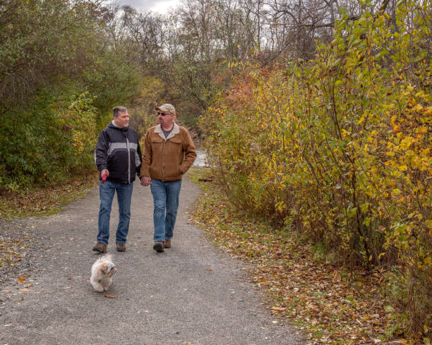 istock Middle aged gay couple walking their dog. 1283978747
