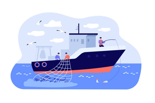 Fishermen sailing boat in sea Fishermen sailing boat in sea and fishing with rod and net. Vector illustration for fisher job, fishermen ship, commercial fishing concept fish trawler stock illustrations