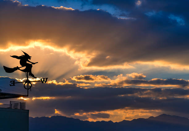 Weather vane is a home instrument showing direction of wind - typically used as an architectural ornament to the highest point of a building