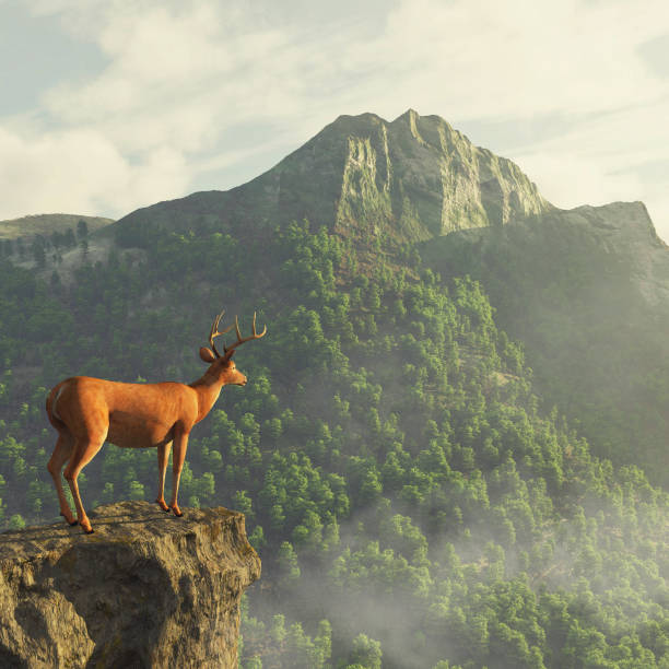 Deer on top of a peak looking at a big mountain . This is a 3d render illustration .