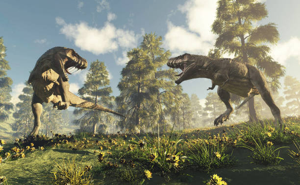 Tyrannosaurus rex fight in the valley . This is a 3d render illustration . stock photo