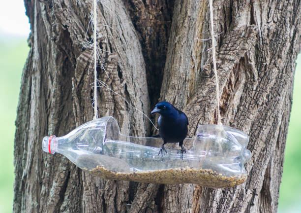 handcrafted bird feeders and waterers made with recycled plastic bottles