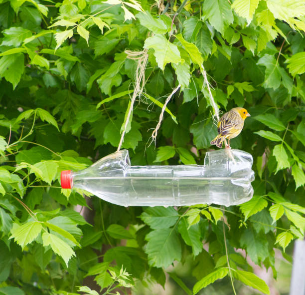 handcrafted bird feeders and waterers made with recycled plastic bottles feeders and drinkers for birds made with recycled plastic bottles bird feeder photos stock pictures, royalty-free photos & images