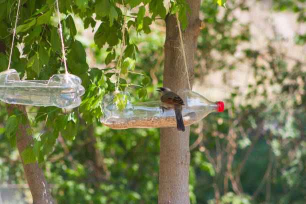 handcrafted bird feeders and waterers made with recycled plastic bottles