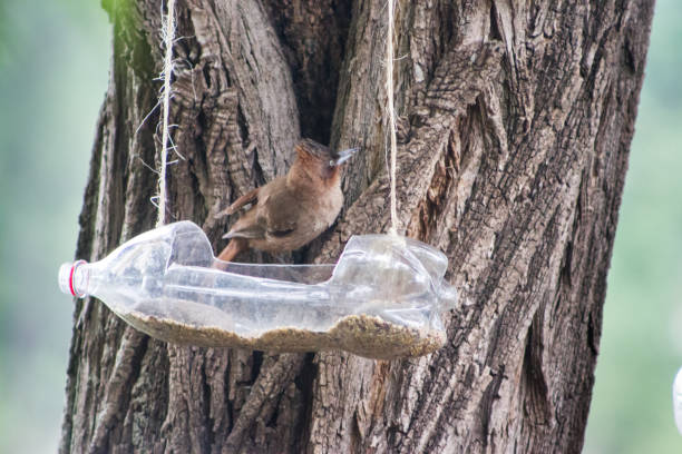 istock handcrafted bird feeders and waterers made with recycled plastic bottles 1283986813