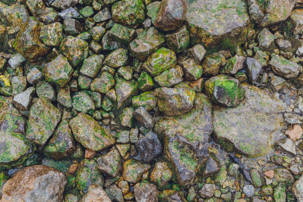 istock Ripples creating shadows onto round pebbles in water. 1283987862