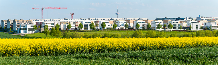 The Frankfurt district of Riedberg in spring with rapeseed field in the foreground