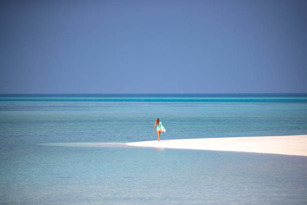 istock Lone walk to the surf on a sandbank 1283992622