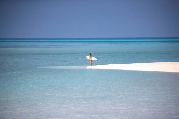 istock Looking towards the sea with a surfboard 1283992687