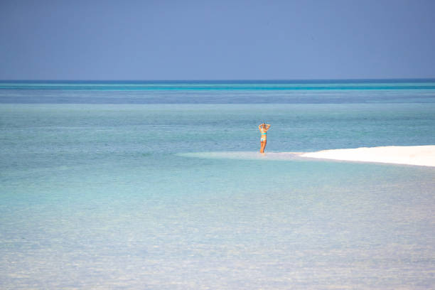 istock Dip in the sea on a sandbar 1283993419