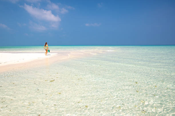 istock Running to the sea 1283993932
