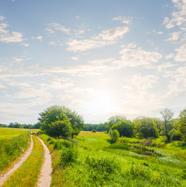 istock beautiful rural scene at the early morning 1283997543