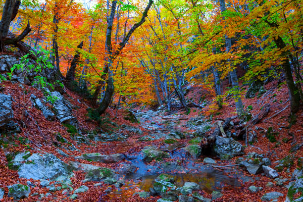 istock autumn mountain canyon scene 1283997745