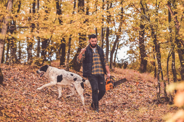 istock The best friends working together 1283998020
