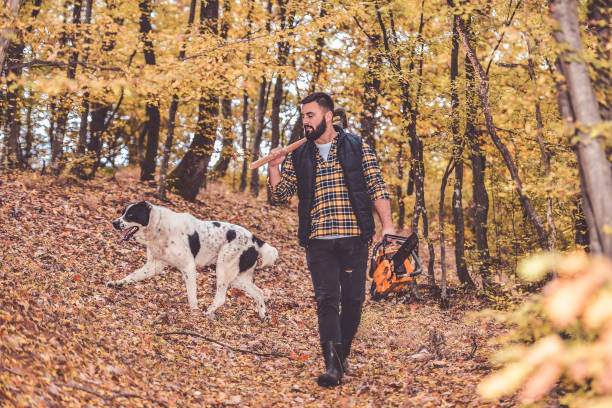 istock The best friends working together 1283998022