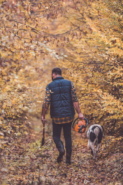 istock The best friends working together 1283998046