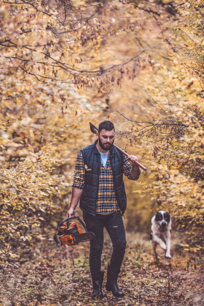 The best friends working together Young bearded man with his Central Asian Shepherd dog in forest kangal dog stock pictures, royalty-free photos & images