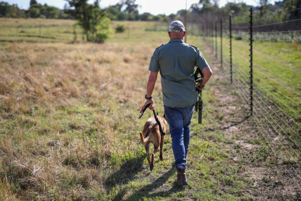 istock A game ranger with his dog doing anti poaching work 1283998237