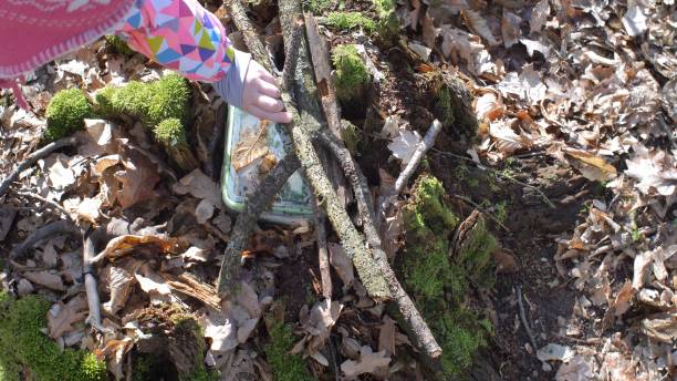 kid jouant le jeu de chasse au trésor cachant et trouvant le récipient de géocache dans la forêt - scavenger hunt photos et images de collection