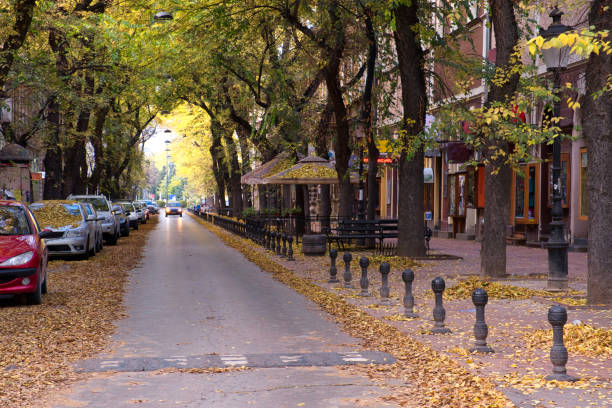 istock Beautiful autumn street with fall leaves 1283999019