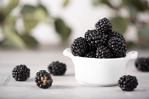 large ripe blackberry in a white bowl on table