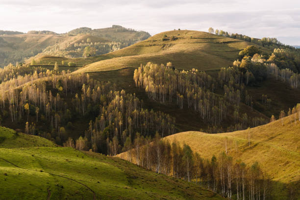 Photo taken in Dumesti, Romania