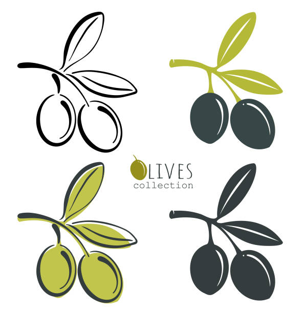 ilustrações de stock, clip art, desenhos animados e ícones de olives. - olives
