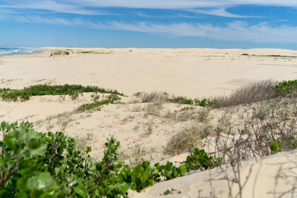 istock Sand Dunes Anna Bay, Australia 1284002244