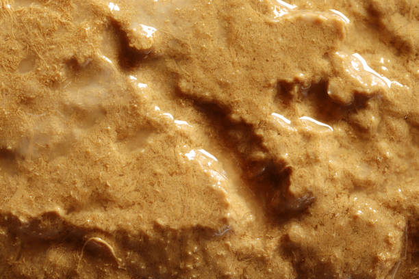 istock Traditional Turkish dessert halva. Turkish cuisine. 1284003122