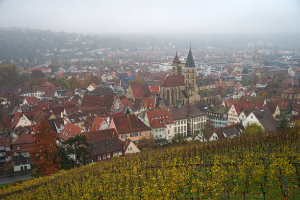 on autumn day with misty weather