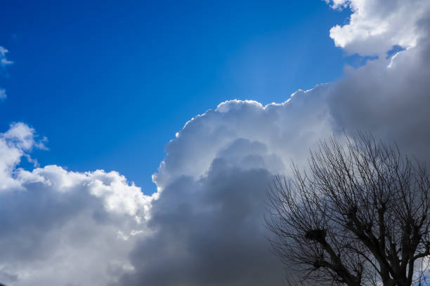 Stormy weather approaching with cumulonimbus clouds bring thunder storms.