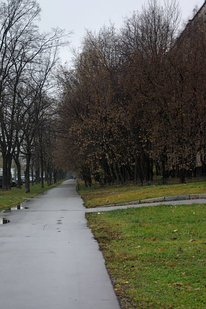 istock a place for walking in a residential area 1284009612