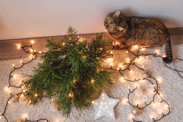 istock Brown cat play near the Christmas tree. 1284010091