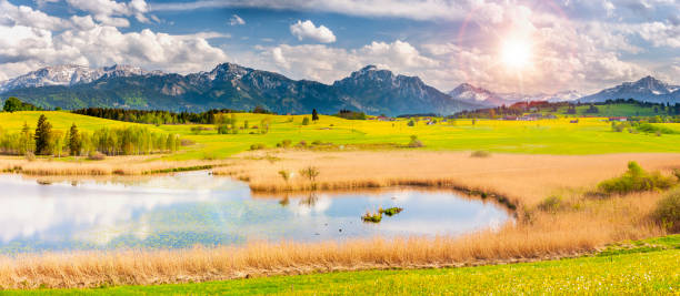 panoramic landscape in bavaria with alps mountains and meadow at springtime - 2127 imagens e fotografias de stock