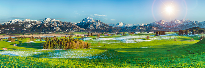 panoramic landscape in Bavaria with alps mountains and meadow at springtime