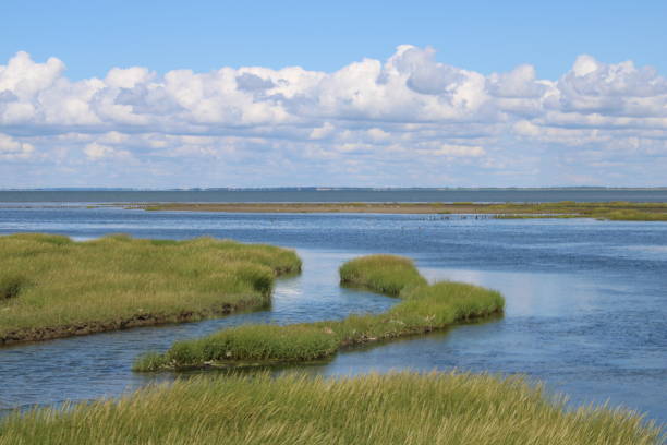 istock Wadden Sea around Mano island in Denmark 1284013309