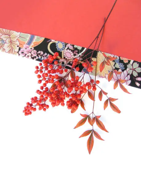 Japanese New Year's image---Nandina domestica