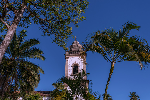 Santa Cruz de Tenerife, Spain - 10th of November, 2022. Palm Trees Near Iglesia de Nuestra Señora de la Concepción
