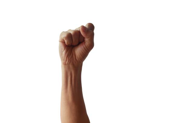 istock Man hand fist isolated on white background with clipping path. 1284022466