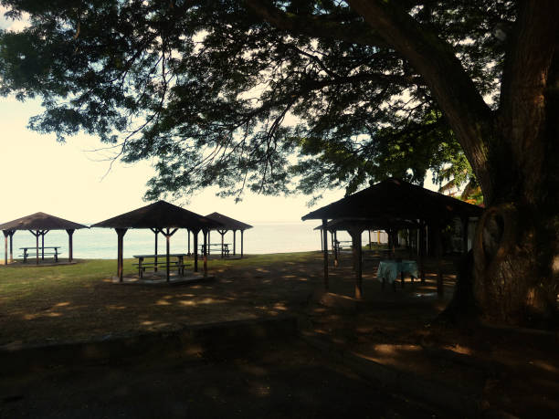 In Guadeloupe, a few carbets on rocroy beach