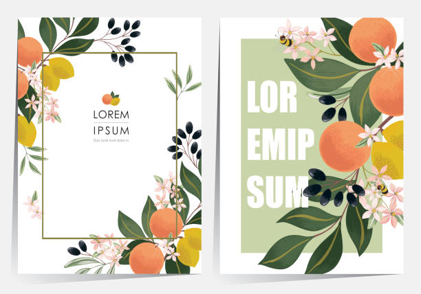 Vector illustration of a beautiful floral frame set with fruits. Design for cards, party invitation, Print, Frame Clip Art and Business Advertisement and Promotion citrus stock illustrations