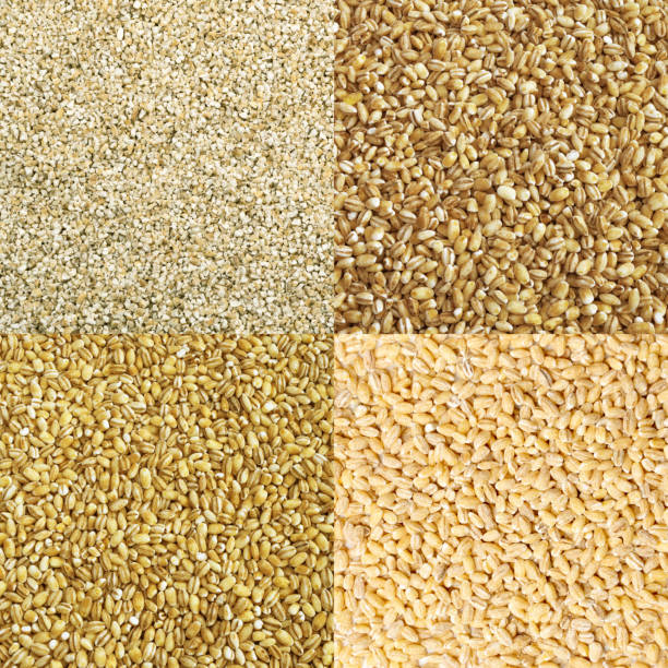Dry Pearl Barley Grains Food Collage. Various Pearl Barley Texture Cereals Collection, Mix, Assortment